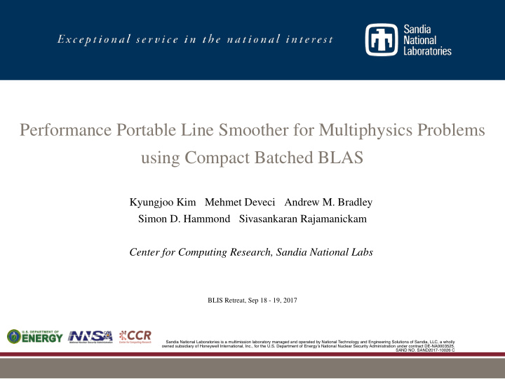 performance portable line smoother for multiphysics