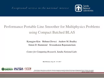 Performance Portable Line Smoother for Multiphysics Problems  using Compact Batched BLAS  Kyungjoo