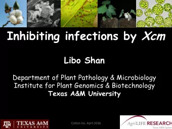 Cotton Soft Cool Stylish Versatile Environmentally friendly Natural Fashionable Comfortable Quality