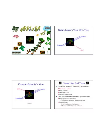 Nature Lovers View Of A Tree  Trees  leaves  branches  root  Linear Lists And Trees  Computer