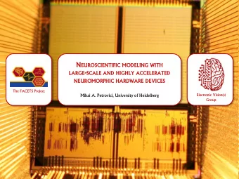 Limits  its of nume  meric  rical  al appr  proache  oaches  FACET  CETS  S neur  urom  omorp