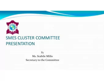 SMES CLUSTER COMMITTEE PRESENTATION By Ms. Stabile Mlilo Secretary to the Committee Minutes from