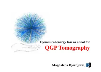 QGP Tomography  Magdalena Djordjevic,  Brief overview of Quark Gluon Plasma  QGP is a new form