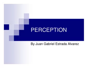 PERCEPTION  By Juan Gabriel Estrada Alvarez  The Papers Presented  Perceptual and Interpretative