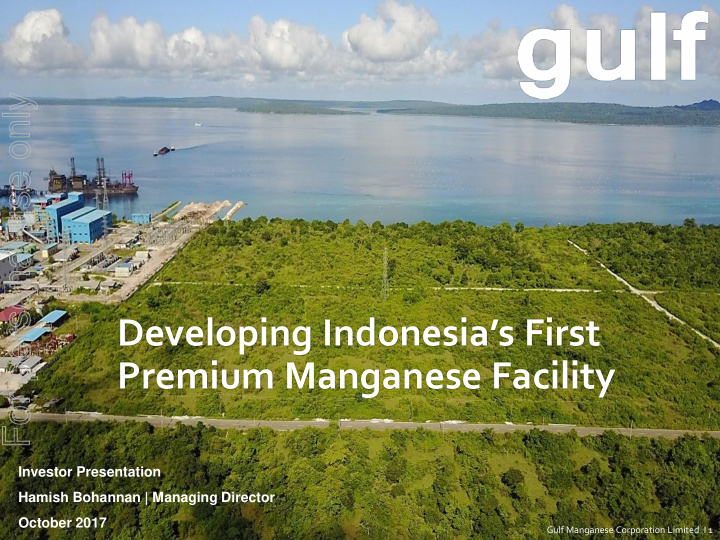 developing indonesia s first premium manganese facility