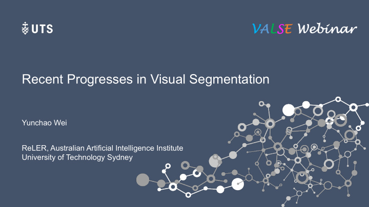 recent progresses in visual segmentation
