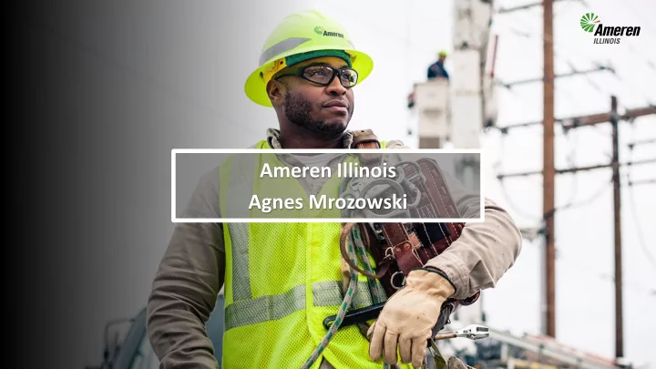 ameren illinois agnes mrozowski about energy analyzer