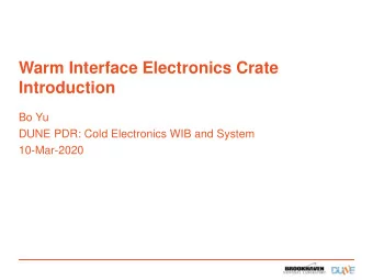 Warm Interface Electronics Crate  Introduction  Bo Yu  DUNE PDR: Cold Electronics WIB and System