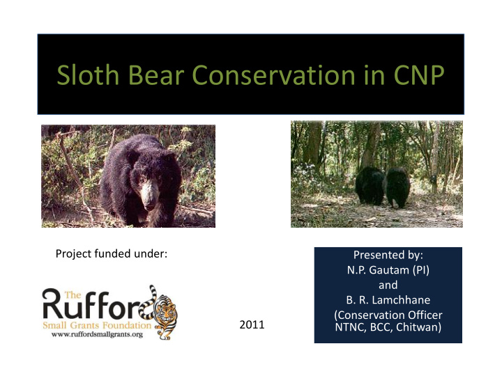 sloth bear conservation in cnp