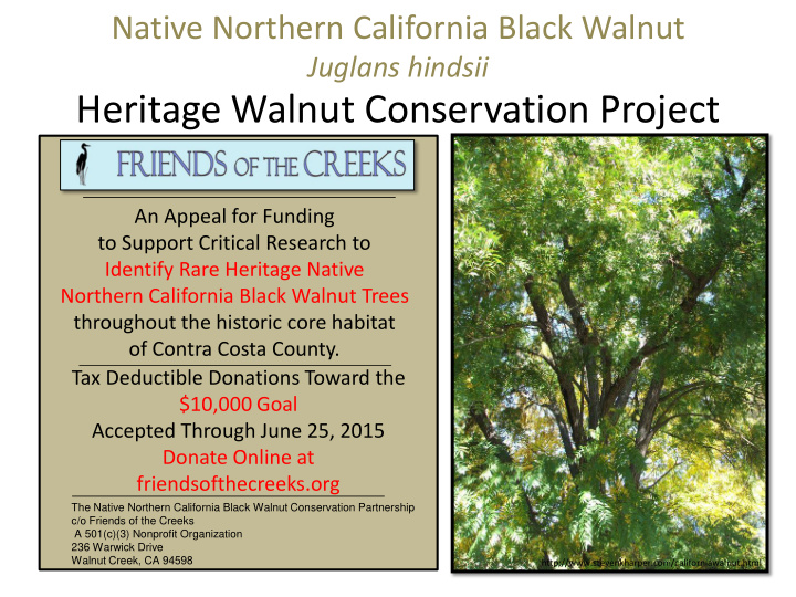 heritage walnut conservation project