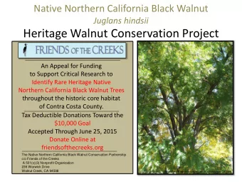 Heritage Walnut Conservation Project  An Appeal for Funding  to Support Critical Research to