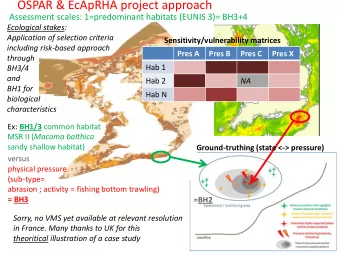 OSPAR &amp; EcApRHA project approach  Assessment scales: 1=predominant habitats (EUNIS 3)= BH3+4