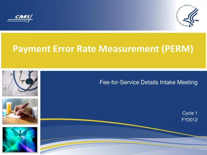 payment error rate measurement perm