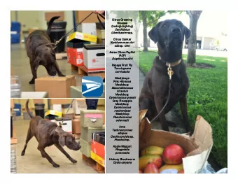 Ci  Ci  Citrus  Citrus  trus Gr  trus Gr  Greenin  Greenin  eening  eening  g  g  Di  Disea  Disea