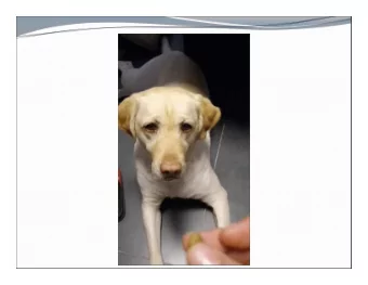 4  5  6  CSE 142 vs CSE 143  CSE 142 / AP CS A  CSE 143  You learned how to write  Return of