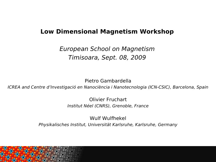low dimensional magnetism workshop european school on