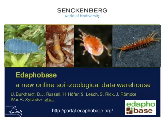 Edaphobase  a new online soil-zoological data warehouse  U. Burkhardt, D.J. Russell, H. Hfer, S.