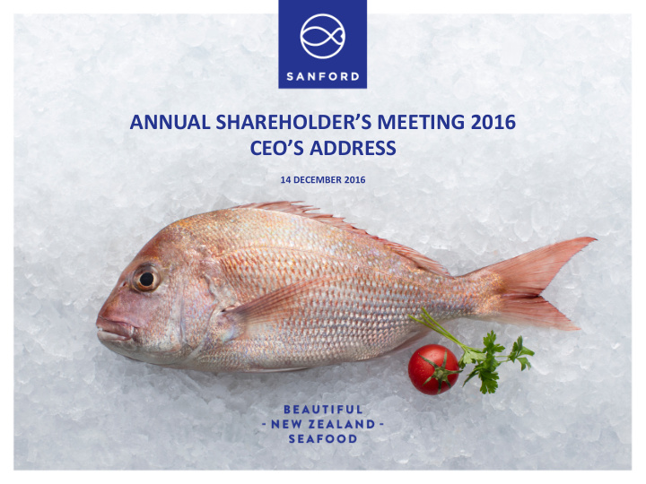 annual shareholder s meeting 2016 ceo s address