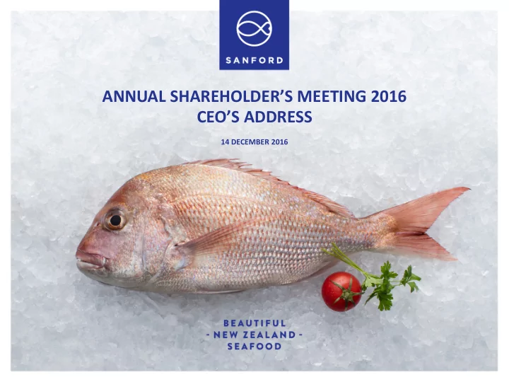 annual shareholder s meeting 2016 ceo s address