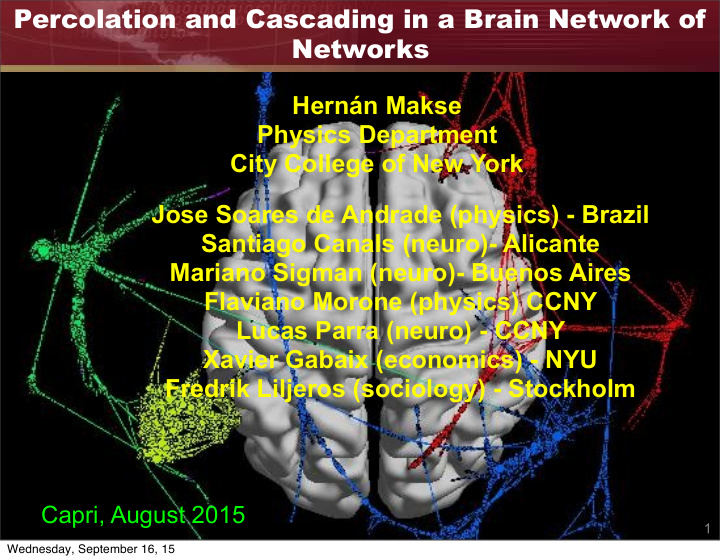 percolation and cascading in a brain network of networks