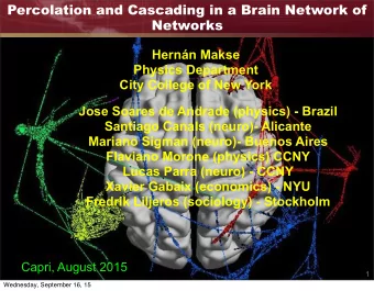 Percolation and Cascading in a Brain Network of  Networks  Hernn Makse  Physics Department  City