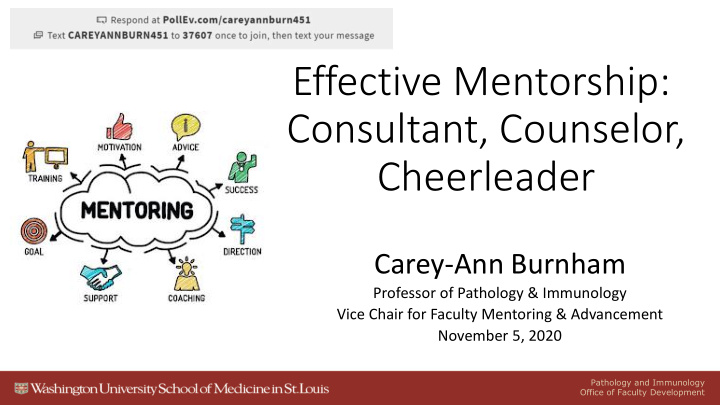 effective mentorship consultant counselor