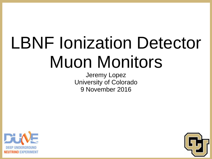 lbnf ionization detector muon monitors