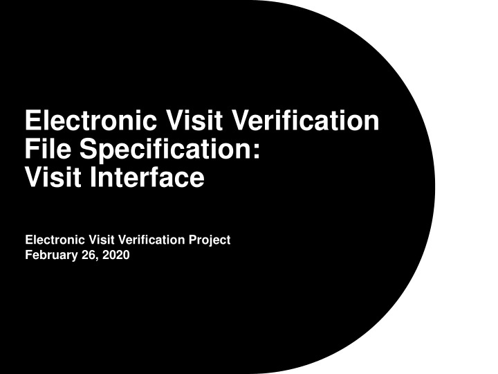 electronic visit verification file specification visit
