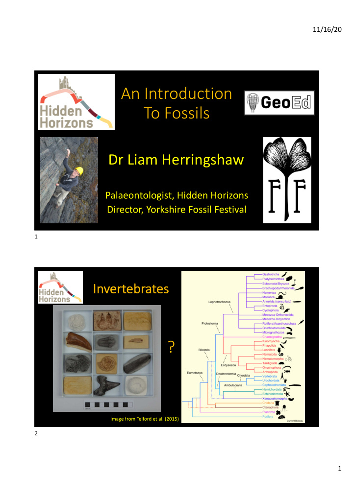 an introduction to fossils