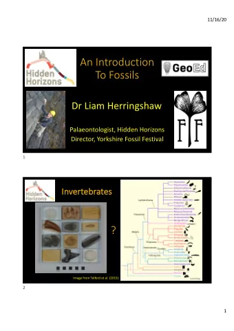 An Introduction  To Fossils  Dr Liam Herringshaw  Palaeontologist, Hidden Horizons  Director,