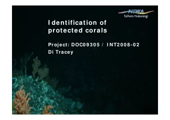 I dentification of  protected corals  Project: DOC0 9 3 0 5  /  I NT2 0 0 8 -0 2  Di Tracey  Corals