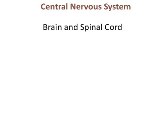 Central Nervous System  Brain and Spinal Cord  Learn and Understand  Brain function is both