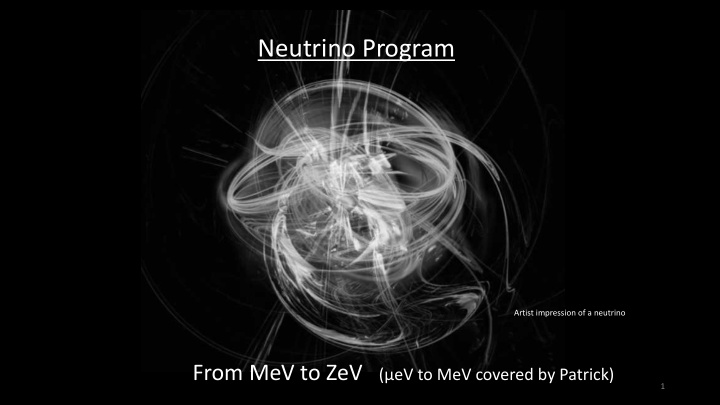 neutrino program