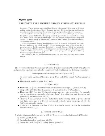 Kiyoshi Igusa  ARE FINITE TYPE PICTURE GROUPS VIRTUALLY SPECIAL? Abstract. This is a report on work