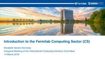 Introduction to the Fermilab Computing Sector (CS)  Elizabeth Sexton-Kennedy  Inaugural Meeting of