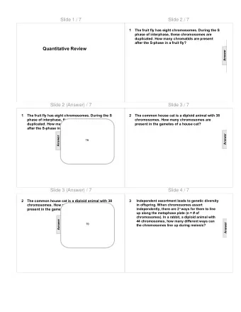 Slide 1 / 7  Slide 2 / 7  1  The fruit fly has eight chromosomes. During the S  phase of