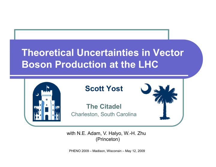 theoretical uncertainties in vector theoretical