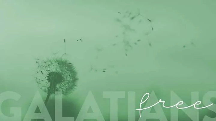 galatians 5 26 6 5 let us not become conceited provoking