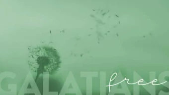 Galatians 5:26  6:5  Let us not become conceited,  provoking one another, envying one another.