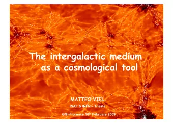 The intergalactic medium  as a cosmological tool  MATTEO VIEL  INAF &amp; INFN  Trieste