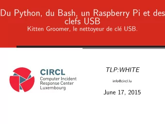 Du Python, du Bash, un Raspberry Pi et des  clefs USB  Kitten Groomer, le nettoyeur de cl  e USB.