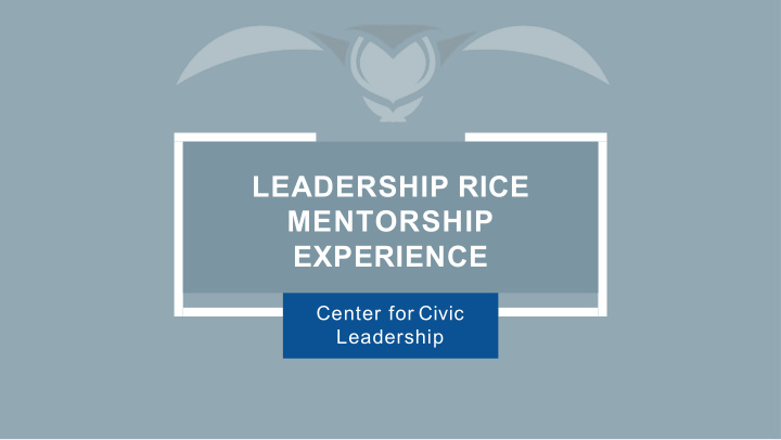 leadership rice mentorship experience