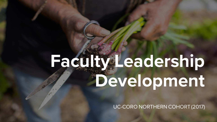 faculty leadership development