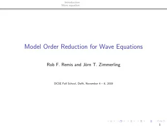 Model Order Reduction for Wave Equations  Rob F. Remis and J  orn T. Zimmerling  DCSE Fall