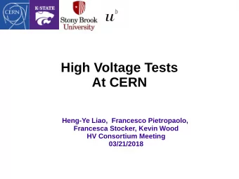 High Voltage Tests  At CERN  Heng-Ye Liao,  Francesco Pietropaolo,  Francesca Stocker, Kevin Wood