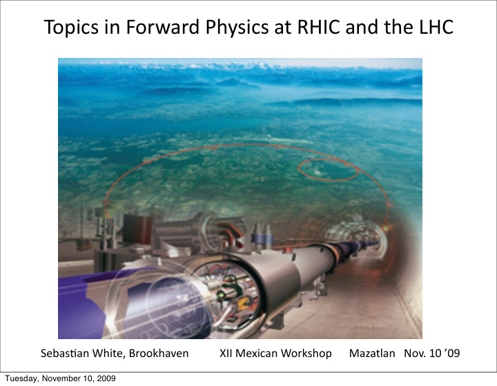topics in forward physics at rhic and the lhc