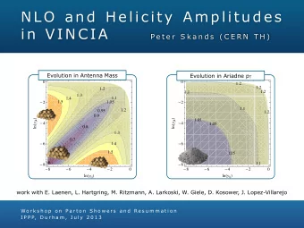 N LO an d  H e lic i ty  Am p l i t u d es  i n VIN C IA  P e t e r  S k a n d s  ( C E R N  T H )