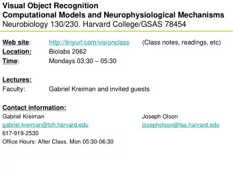 Visual Object Recognition  Computational Models and Neurophysiological Mechanisms  Neurobiology
