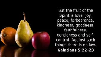 Valle Crucis  North  Carolina  Tranquility  Ohio We Come In Peace For