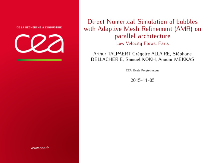 direct numerical simulation of bubbles with adaptive mesh